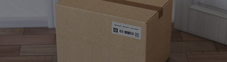 Free Expedited Shipping for Christmas