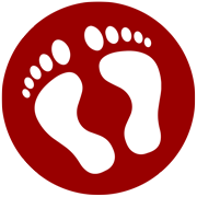Large Size Shoes & Big Shoes for Men at 2BigFeet logo